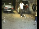 izin 2007 Umut ve Yavru kedi &amp; Köpek/ Ardahan, Yalnizcam, Tepelerköyü