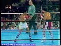 wilfredo-gomez-vs-carlos-zarate-part-1.html