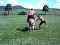 Rodeio Babal Rodeio Babal