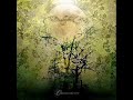 The Deadlight Effect - Desolate Machine