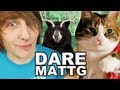 Dare MattG - 17 (Cute Kitty,jello feet, syran wrap)