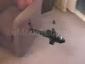 Carson Helicopter AH-64 Apache Longbow RC Helicopter # 50700