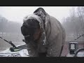 winter catfishing