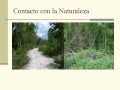 videos de Oportunidades Tulum