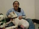 Marquette County Humane Society-Gretel-injured deaf dog