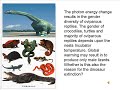 Photon is the Evolutionary Driven Force of Everything