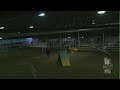 Lexi - Level 23 Standard - Wag Turkey Trot CPE Trial.mov