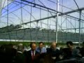 El Consejero Agricultura visita plantaciones fresas de Palos