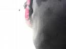 cody-meeting-gravedigger-driver-pablo-huffaker.html