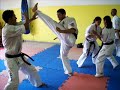 Treino de Karate de Contato Shinkyokushin Brasil realizado na Academia Dekster