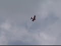 Snoopy vs. the Red Baron