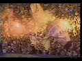 Campeonato Brasileiro 96 - Grêmio 3 x 1 Palmeiras