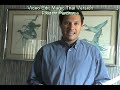 Your Cape May Market Insider July 2008 Edition