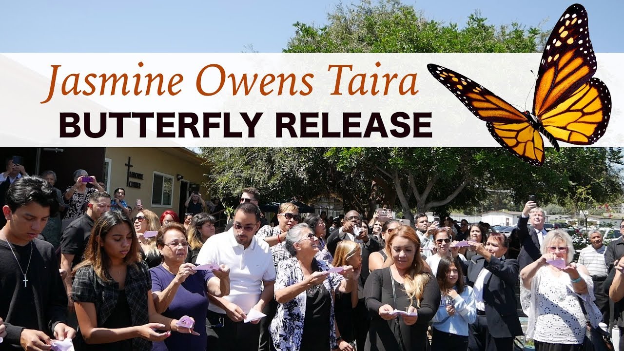 Butterfly Release - Jasmine Owens Taira