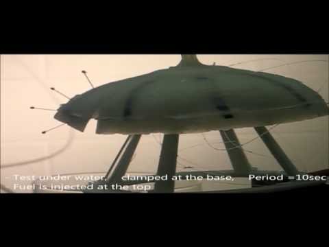 Bio inspired - American researchers have created a robotic jellyfish, named Robojelly, which not only exhibits characteristics ideal to use in underwater search and rescue ...