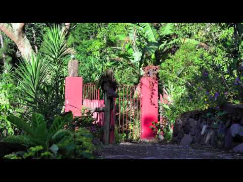 Video di Blue Mountain Cottages - Rafjams Bed and Breakfast