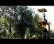 Olive OIl Making in le Grand Servan en Provence