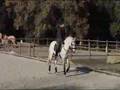 Arturo ,Ariadna Alvarez y Josep Massana training en C.A.V.A.