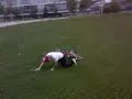 bmx fall