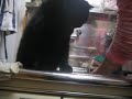 ??????? ???????