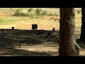 SANY0009.MP4