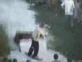 CCS Kangur Tychy show 06'