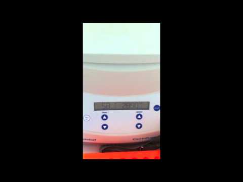 how to isolate a column in r