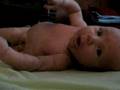 videos de Skyler Rolls Over