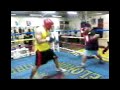 Amiel Boxing Sessions (New 4) Amiel Boxing Sessions (New 4)