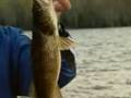 Horwood Lake Lodge