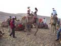 Camel Dismounting