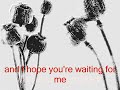 One of the last songs sung by Mark Sandman. Morphine leader died in 1999 on stage in Palestrina, Italy. The album 