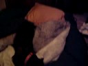 George discovers the inflatable bed part 2