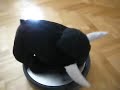 Roomba vs bull