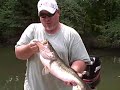 Mikes Meherrin River Hawg
