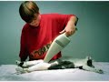 wow! these are the funniest cats  get your pet websites 
