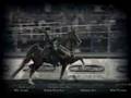 South African Saddle Horse Championships 2008