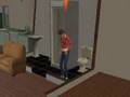 The Sims 2 Miscarriage