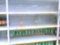Patricio Cavalli Video: Falta Aceite 15/5/2008
