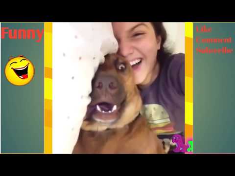 Download Video Vidio Anjing Jilat Itunya Majikannya Mantap Banget!! Funny Animal Best Ever 2017 Download Video Vidio Anjing Jilat Itunya Majikannya Mantap Banget!! Funny Animal Best Ever 2017