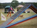 Snoopyho podzimní pohár spojený s MR kolií a speciálem šeltií v Dubenci