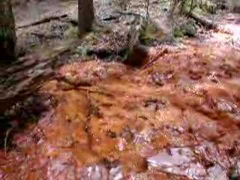 Iron / Manganese Bacteria ...