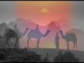 Jan Hammer - Crockett\