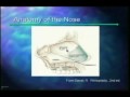 San Francisco Rhinoplasty (Part 1) San Francisco Rhinoplasty (Part 1)