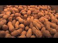 Suffolk Planters Peanut Center