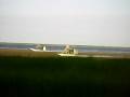 videos de Airboat Racing