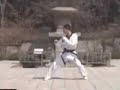 Taekwondo2 Taekwondo2