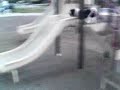 my crazy dog