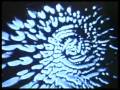 videos de Project503 