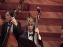JOSBL (Jove Orquestra Simf�nica del Baix Llobregat)
